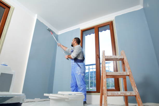 Professional Mold Removal in Greenport West, NY