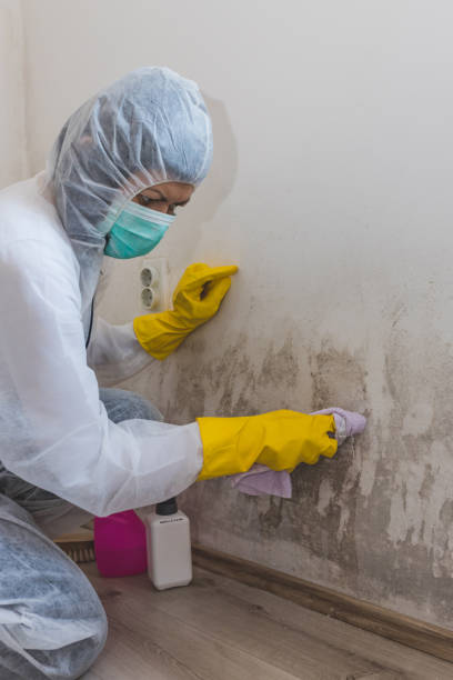 Best Forensic Mold Investigation  in Greenport West, NY