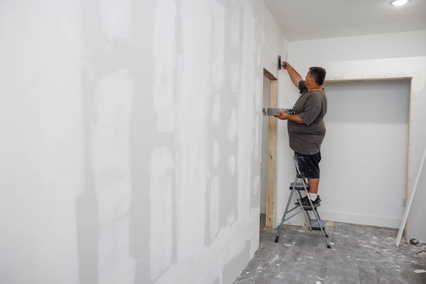 Trusted Greenport West, NY Mold Removal Experts