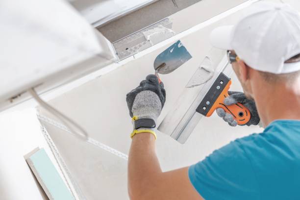 Best Crawl Space Mold Remediation  in Greenport West, NY